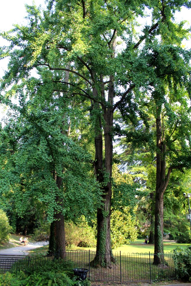 Giardini dell'Arena 2017