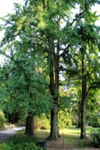 Giardini dell'Arena 2017