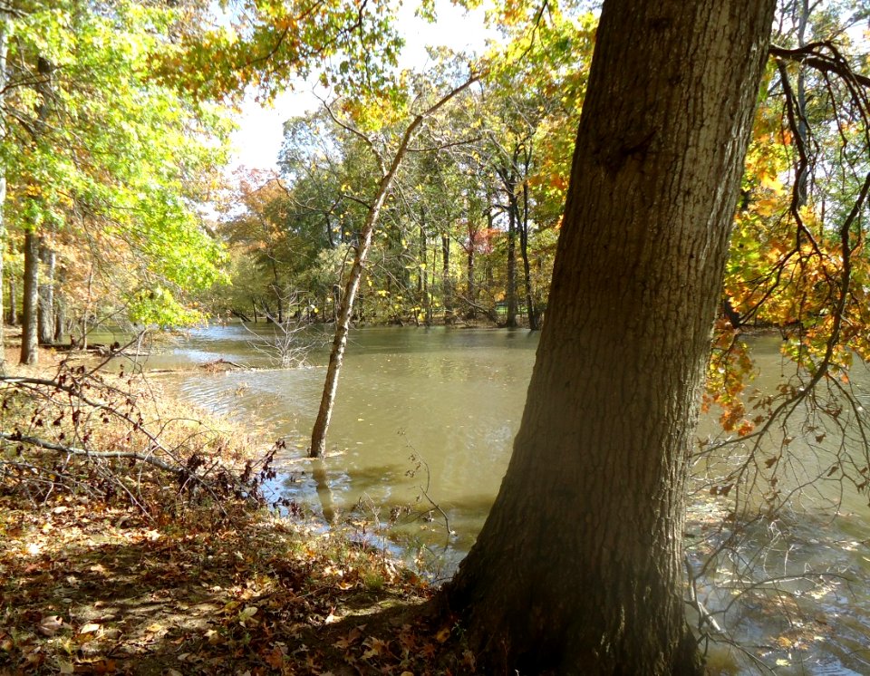 Gillette New Jersey river view