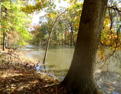 Gillette New Jersey river view