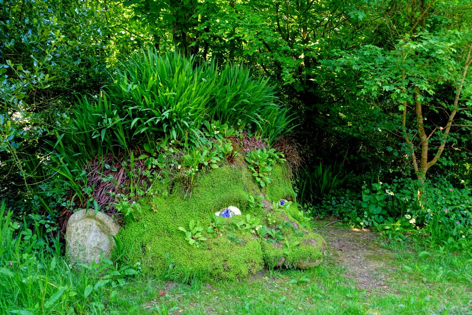 Giant's Head - Lost Gardens of Heligan - Cornwall, England - DSC02642