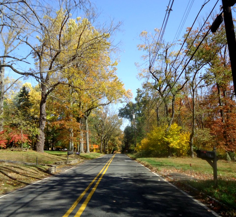 Gillette New Jersey two lane road in October