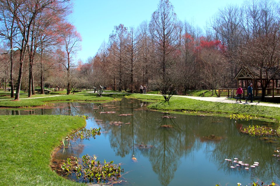 Gibbs Gardens pond, Feb 2017