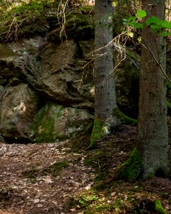 Giant boulder in Gullmarsskogen ravine