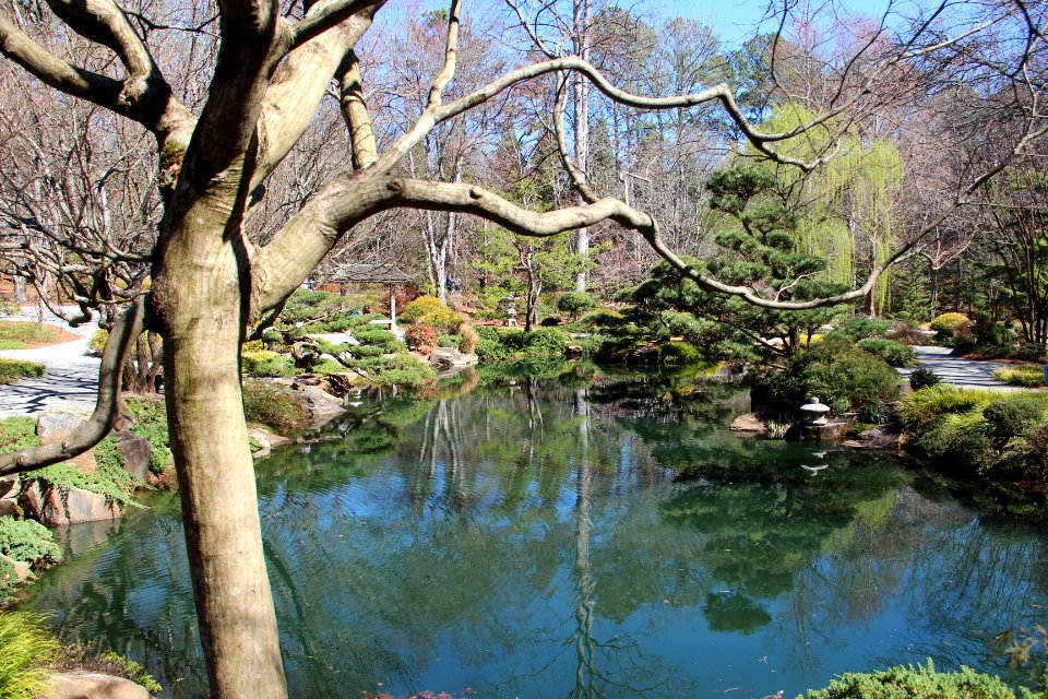 Gibbs Gardens Japanese garden pond, Feb 2017