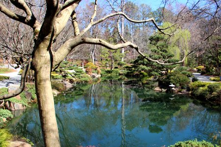 Gibbs Gardens Japanese garden pond, Feb 2017
