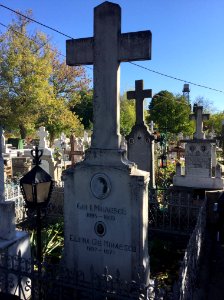 Gib Mihaescu grave