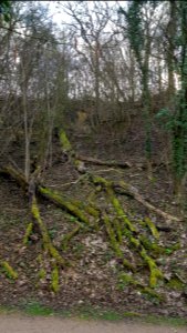 Geulhem-Wolfsdriesgroeve (6)