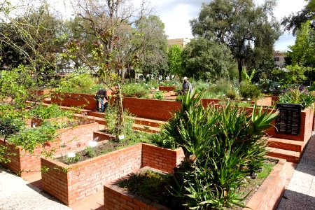 Giardino dei semplici - Orto botanico - Rome, Italy - DSC00124