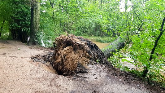 Geul-overstroming juli 2021 (181)
