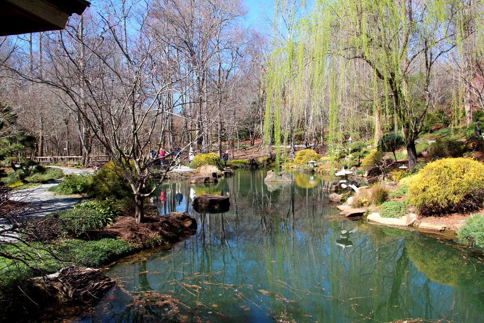 Gibbs Gardens Japanese garden pond, Feb 2017 2