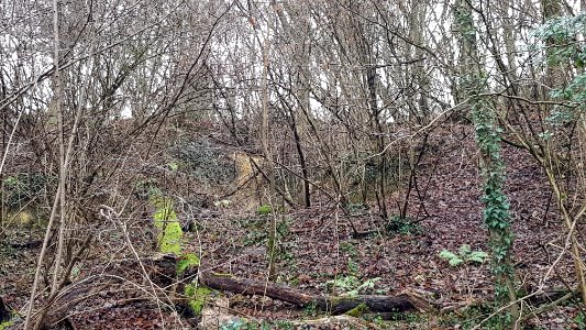 Geulhem-Wolfsdriesgroeve (3)