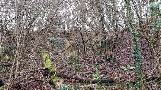 Geulhem-Wolfsdriesgroeve (2)