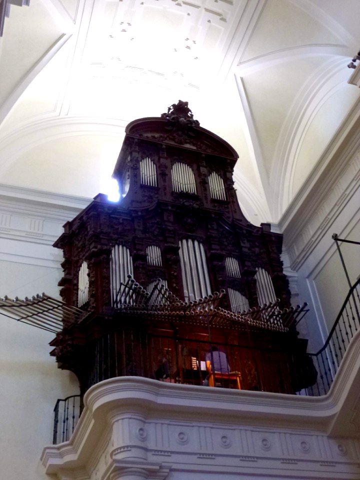 Getafe - Catedral de Nuestra Señora de la Magdalena 45
