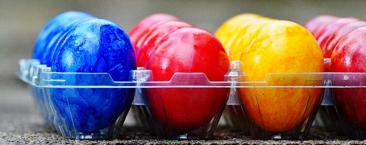 Happy easter egg colored