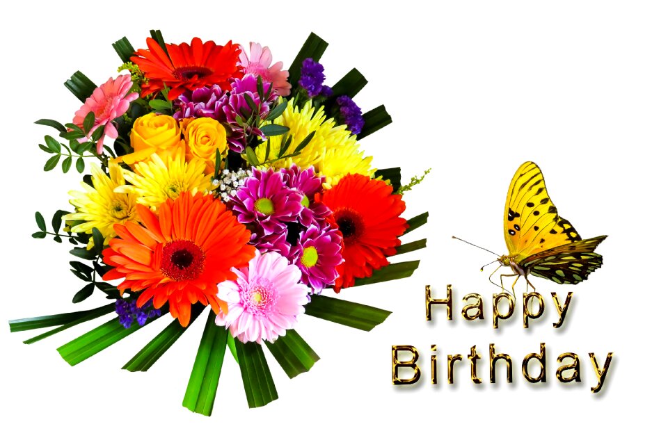 Greeting card greeting congratulations