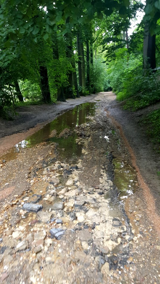 Geul-overstroming juli 2021 (177)