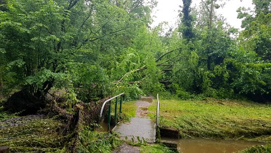 Geul-overstroming juli 2021 (156)