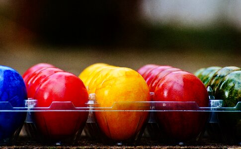 Happy easter egg colored