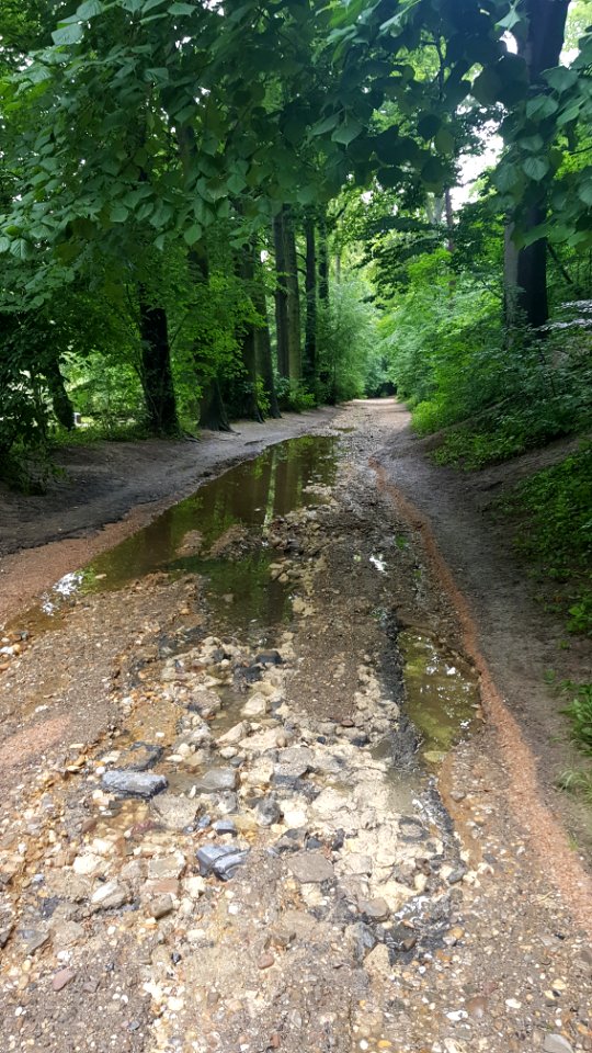 Geul-overstroming juli 2021 (176)