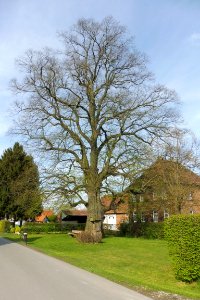 Geseke - Bildstock Völmeder Straße 76 - 5