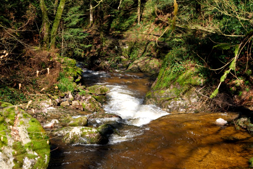 Geroldsau Waterfall 2020-03-13 03