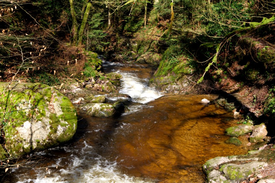 Geroldsau Waterfall 2020-03-13 02
