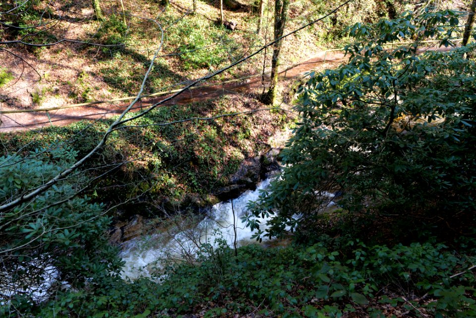 Geroldsau Waterfall 2020-03-13 04