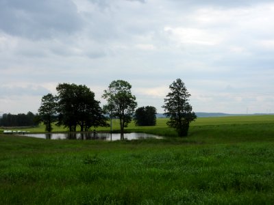 Geroda 03