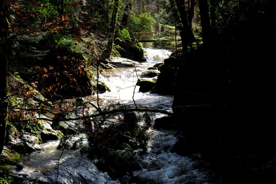 Geroldsau Waterfall 2020-03-13 09