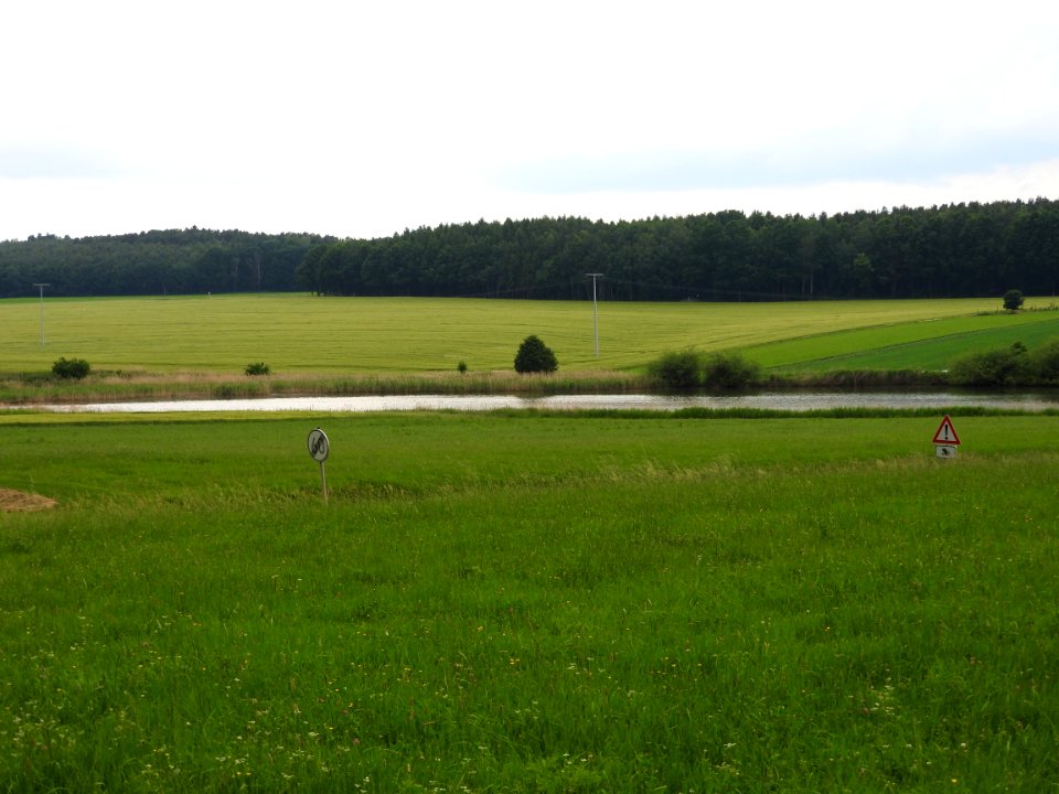 Geroda 01