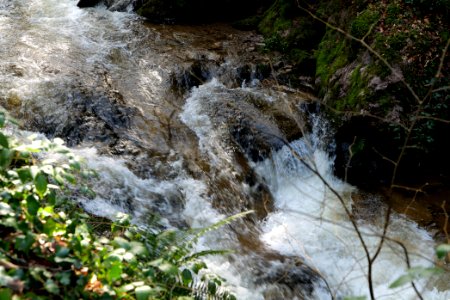 Geroldsau Waterfall 2020-03-13 10