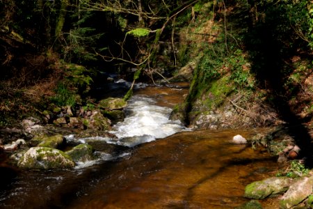 Geroldsau Waterfall 2020-03-13 07