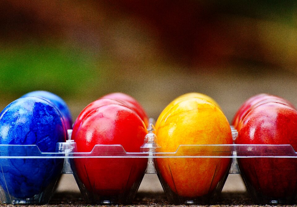 Happy easter egg colored