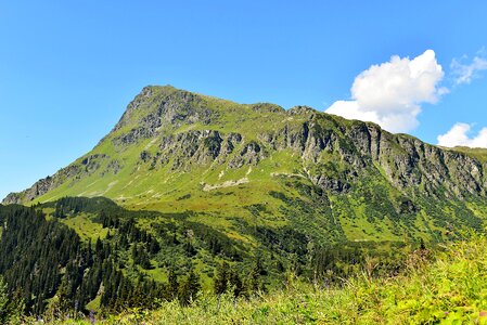Almen austria alpenpanorma
