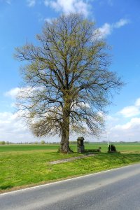 Geseke - Bildstock Delbrücker Straße - 4