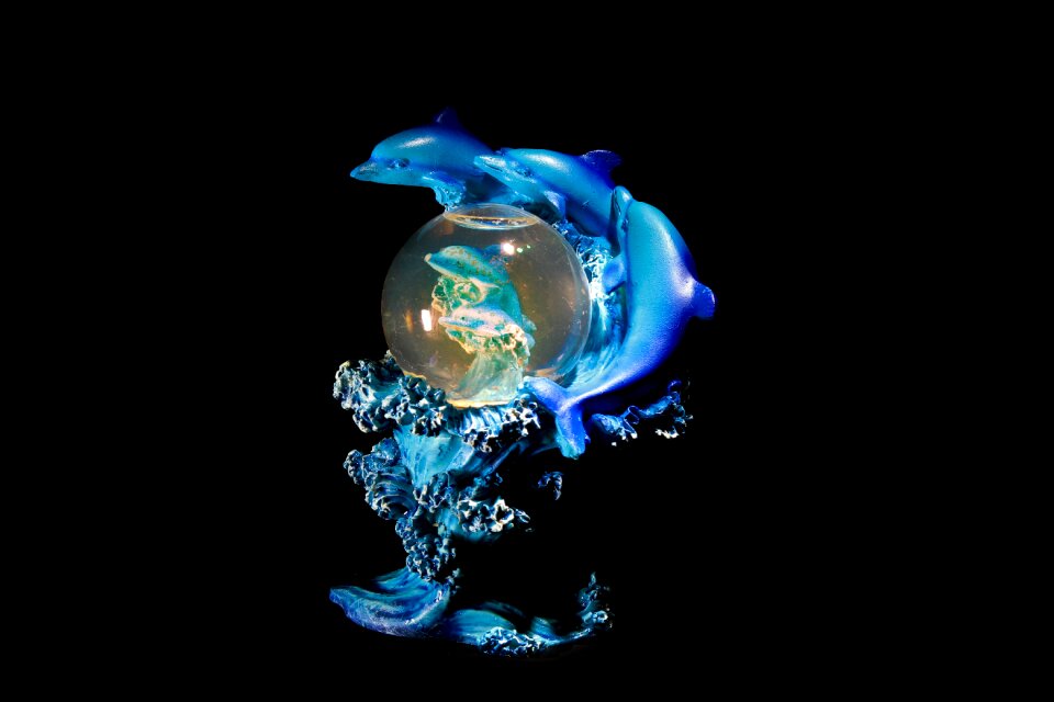 Blue photo effect dolphin