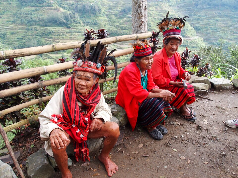 Philippines luzon paddies