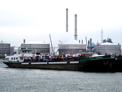 Geulstroom (ship, 1981), ENI 02316341, Port of Antwerp