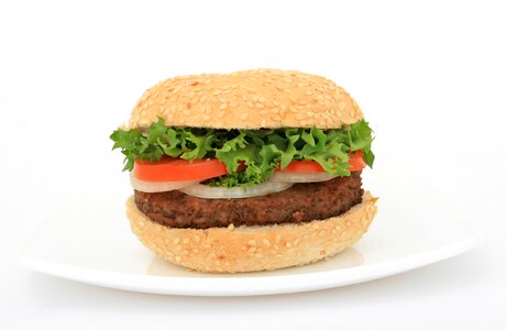 Bread bun burger