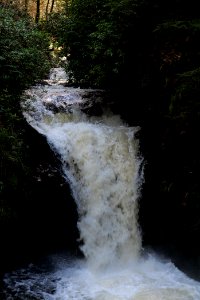 Geroldsau Waterfall 2020-03-13 35