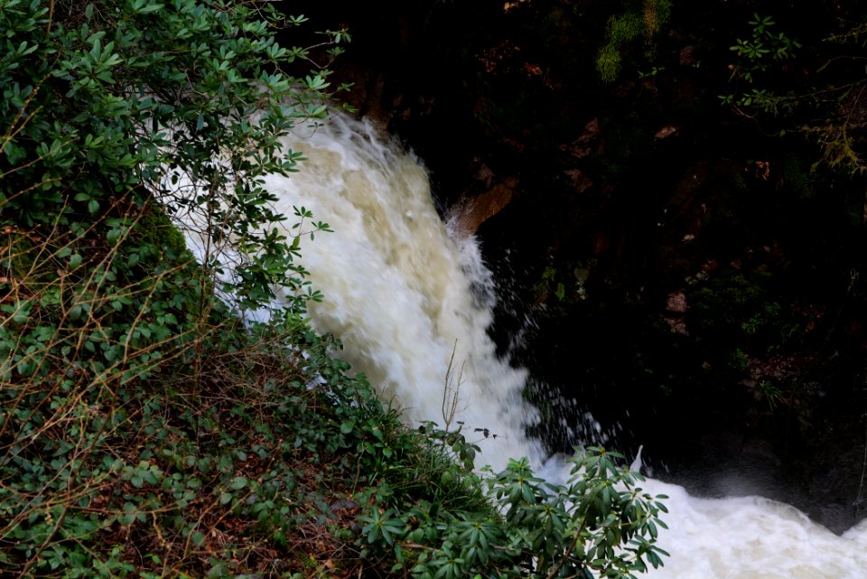 Geroldsau Waterfall 2020-03-13 17