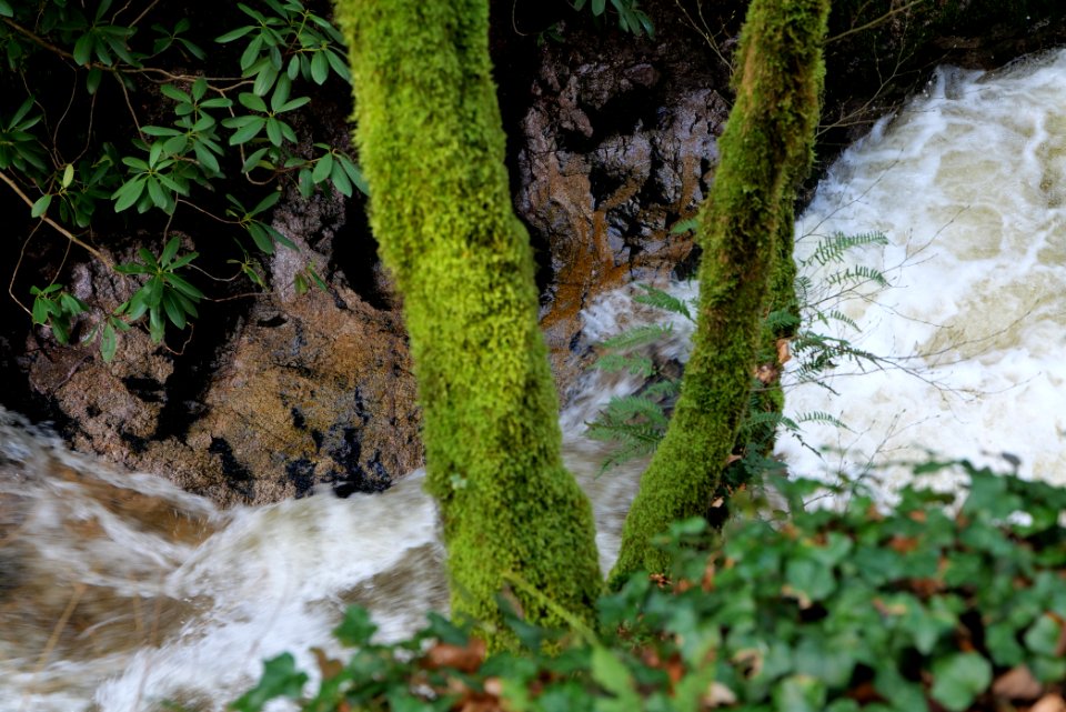 Geroldsau Waterfall 2020-03-13 15