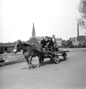 Gezelschap op een boerenkar, Bestanddeelnr 252-1952