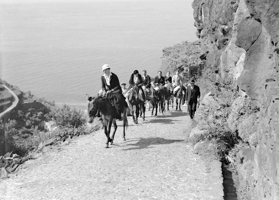 Gezelschap op muilezels op een tocht in het binnenland van Madeira, Bestanddeelnr 190-0184