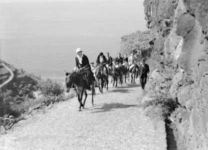 Gezelschap op muilezels op een tocht in het binnenland van Madeira, Bestanddeelnr 190-0184