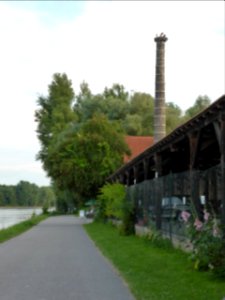 Germersheim-Zigelei-Storche