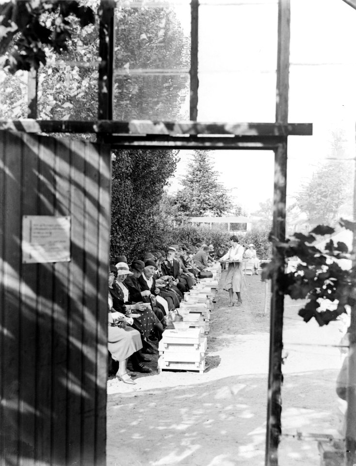 Gezelschap eet druiven in kwekerij J van den Berg in Poeldijk, Bestanddeelnr 252-0914