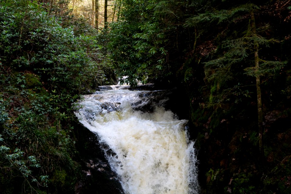Geroldsau Waterfall 2020-03-13 45