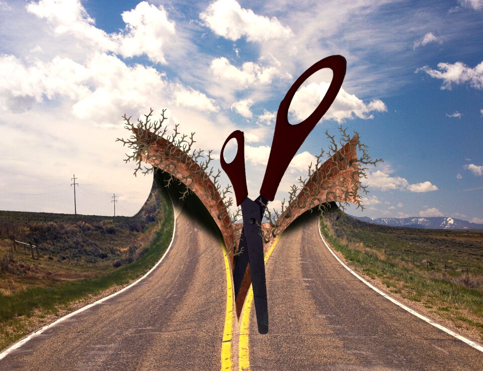 Highway scissor roots